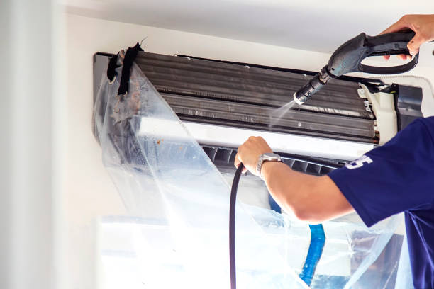 Air Duct Mold Removal in Winfield, IA