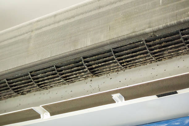 Best Air Duct Cleaning Near Me in Winfield, IA